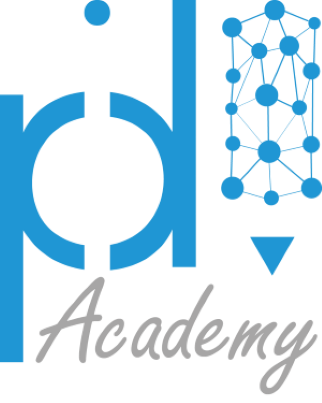 PID Academy LOGO