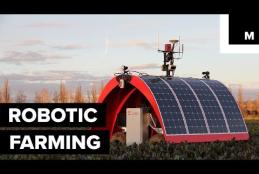 Embedded thumbnail for Robotic farming of the future > paragrafi > Video