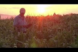 Embedded thumbnail for Precision Agriculture using Data and Analytics > paragrafi > Video