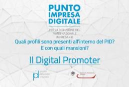 Embedded thumbnail for Quali sono le figure che compongono il PID? Il Digital Promoter > paragrafi > Video